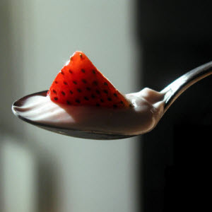 Lot Fat Yoghurt Lot Fat Yoghurt